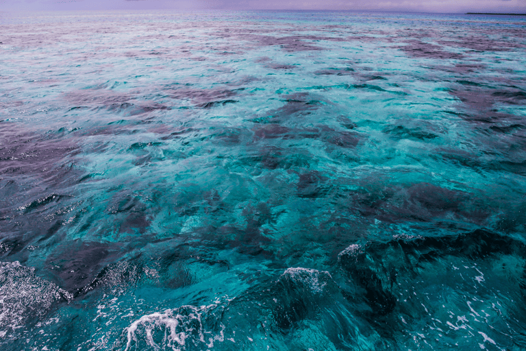 GUESTBLOGGER-WAH-south-america-belize-04