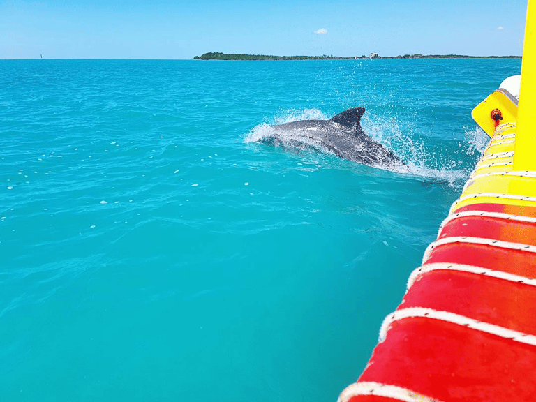 GUESTBLOGGER-WAH-south-america-belize-07