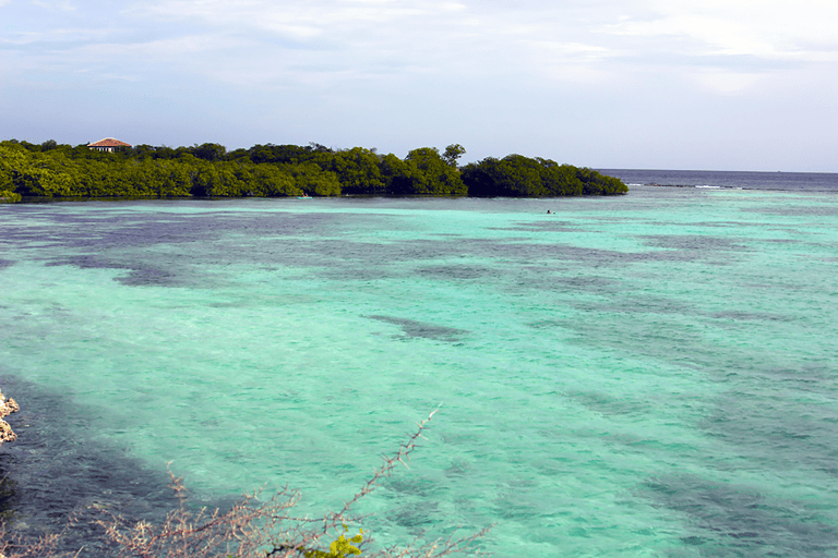 GUESTBLOGGER-WAH-zuid-amerika-aruba-9