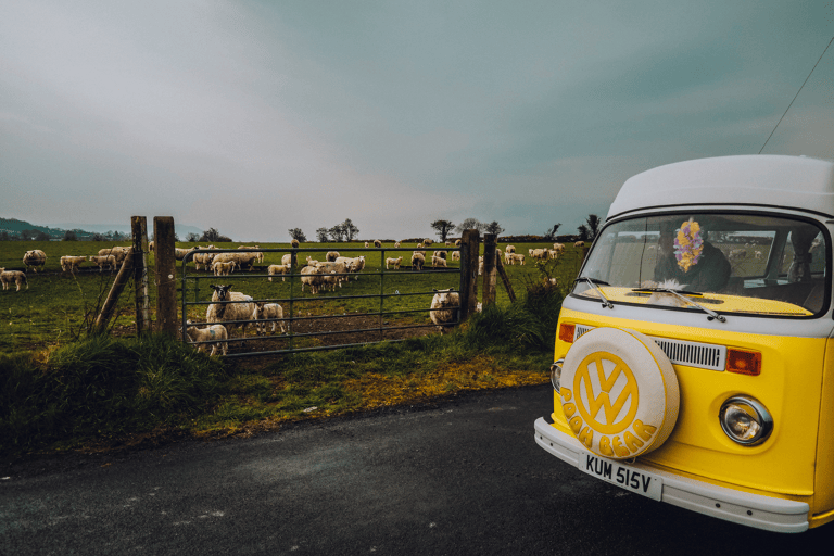 GUESTBLOGGER-WHA-europe-ireland-roadtrip-34