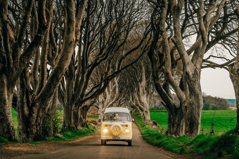 GUESTBLOGGER-WHA-europe-ireland-roadtrip-dark-hedges