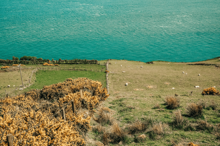 GUESTBLOGGER-WHA-europe-ireland-roadtrip-sea