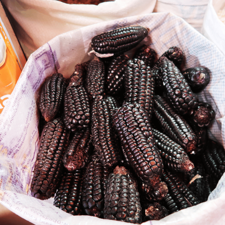 GUESTBLOGGER-leonie-south-america-peru-black-corn