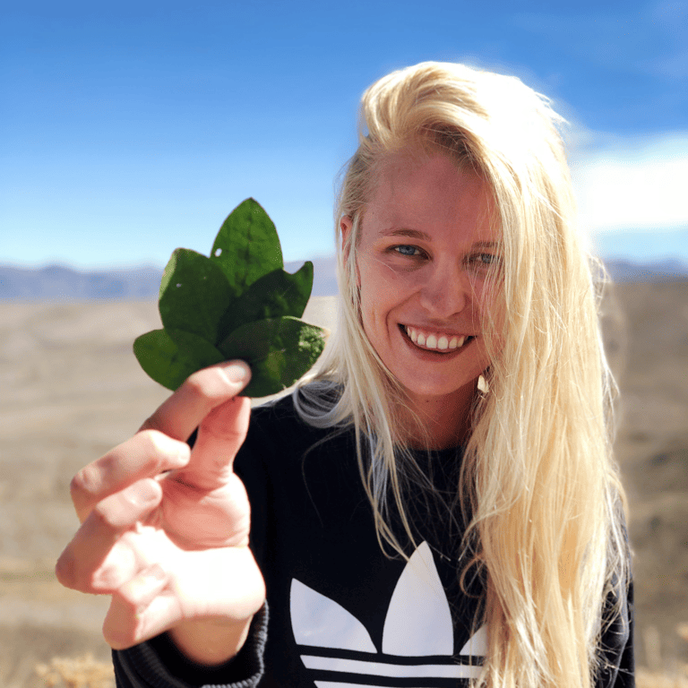 GUESTBLOGGER-leonie-south-america-peru-coca
