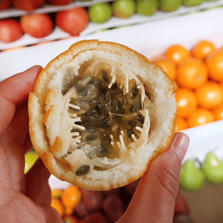 GUESTBLOGGER-leonie-south-america-peru-granadilla