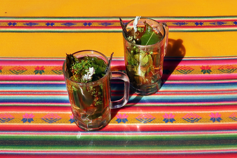 GUESTBLOGGER-leonie-south-america-peru-inca-tea