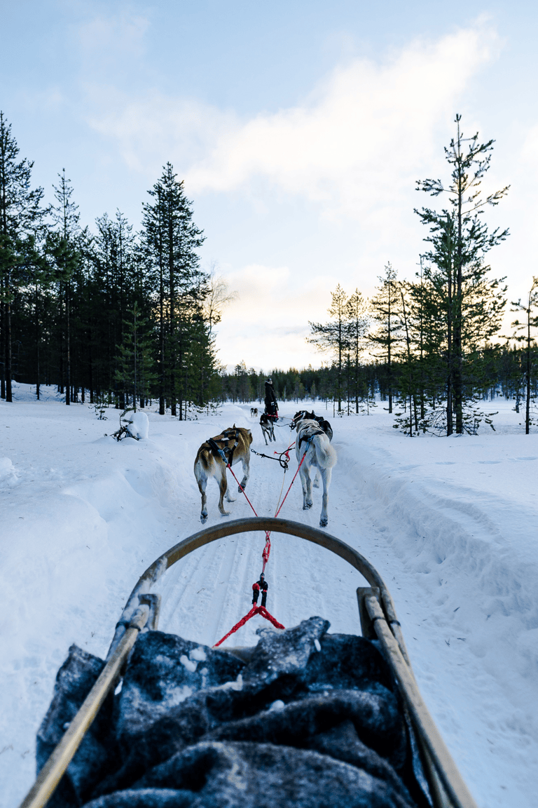 GUESTBLOGGER-somsookheimwee-huskies-sled