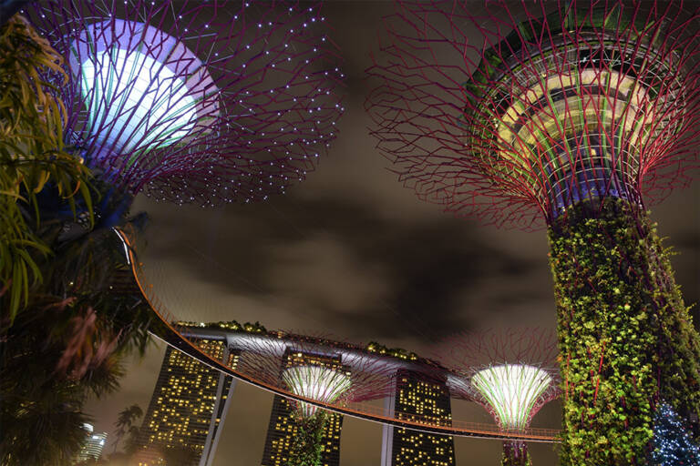 Gardens-by-the-bay