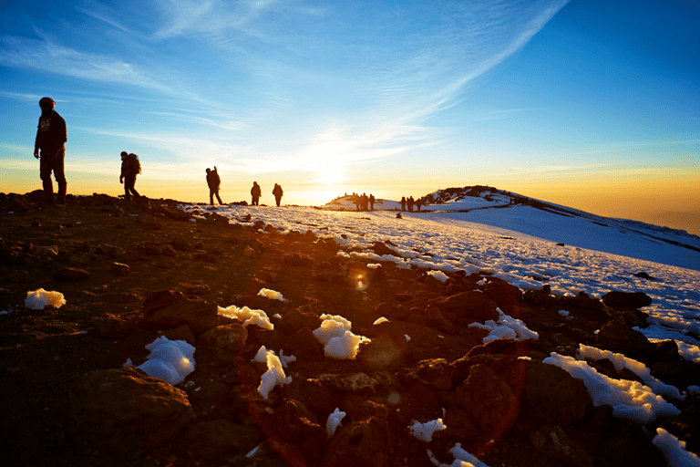 Kilimanjaro
