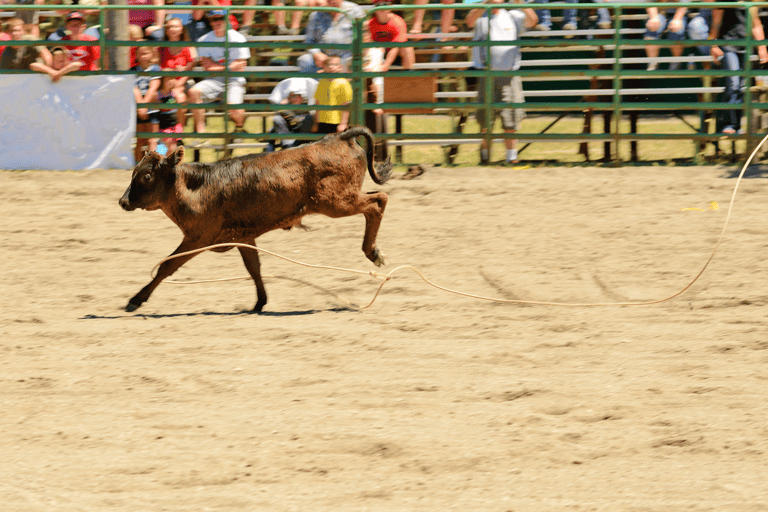 Pendleton