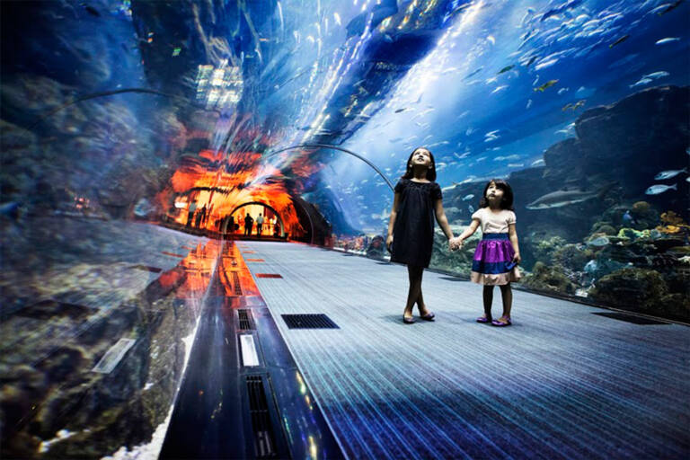 SeaWorld-Dubai