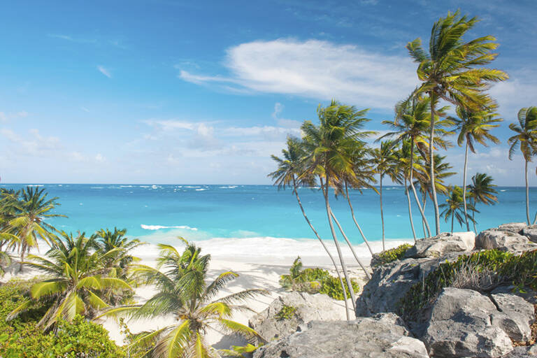 TP10_TE_Barbados