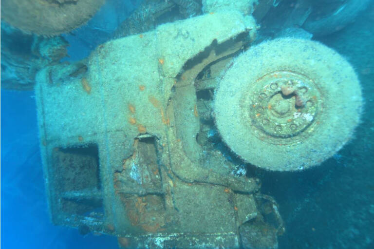 Zenobia