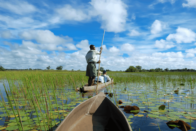 africa-botswana-okavango-delta