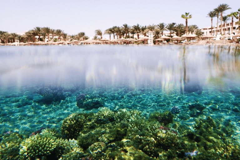 africa-egypt-hurghada-diving