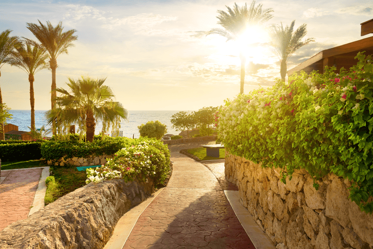 africa-egypt-red-sea-walk-to-the-beach