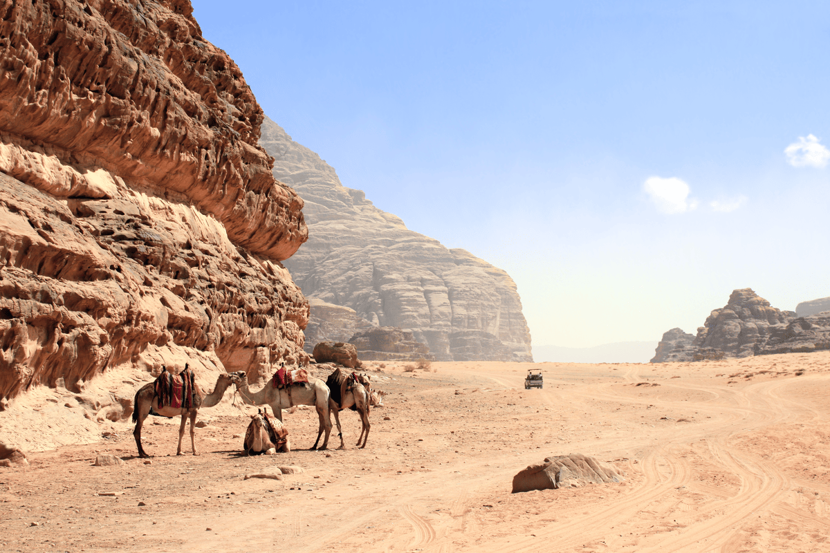 Op kamelentocht door de woestijn van Wadi Rum in Jordanië