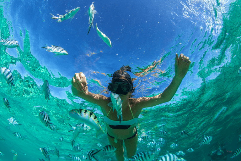 africa-mauritius-snorkeling-fish-diving