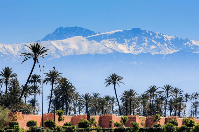 africa-morocco-marakesh-wall-mountains-palmtrees