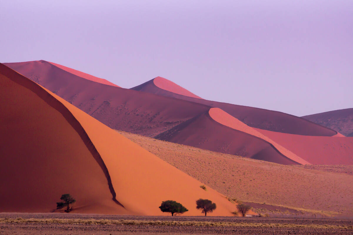 Discover Adventure In Namibia
