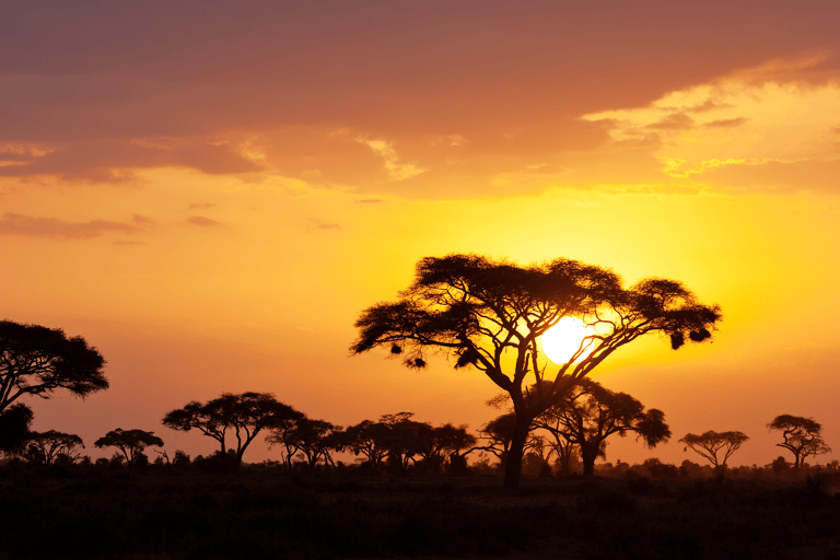 africa-serengeti-national-park-savanne
