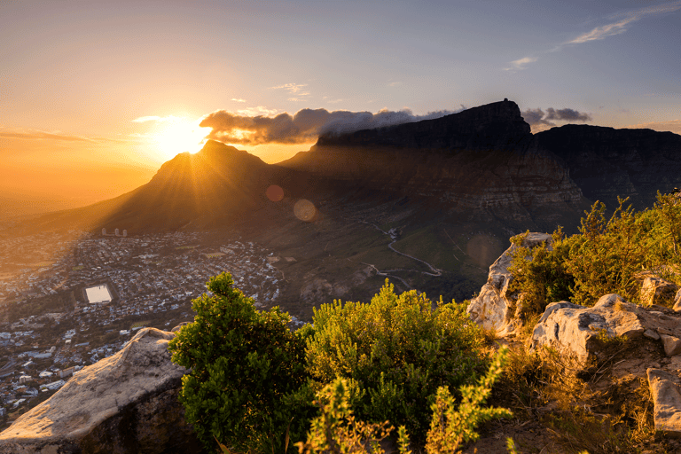 africa-south-africa-capetown-lionshead