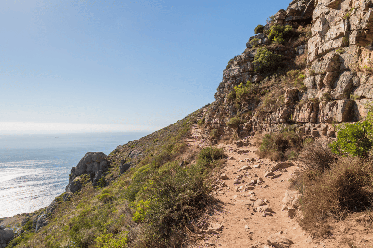 africa-south-africa-kaapstad-lions-head-trail