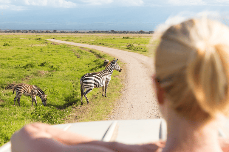 africa-south-africa-safari-car-girl