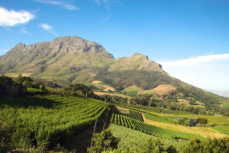 africa-south-africa-stellenbosch