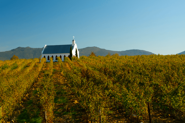 africa-south-africa-tulbagh-vineyard-church