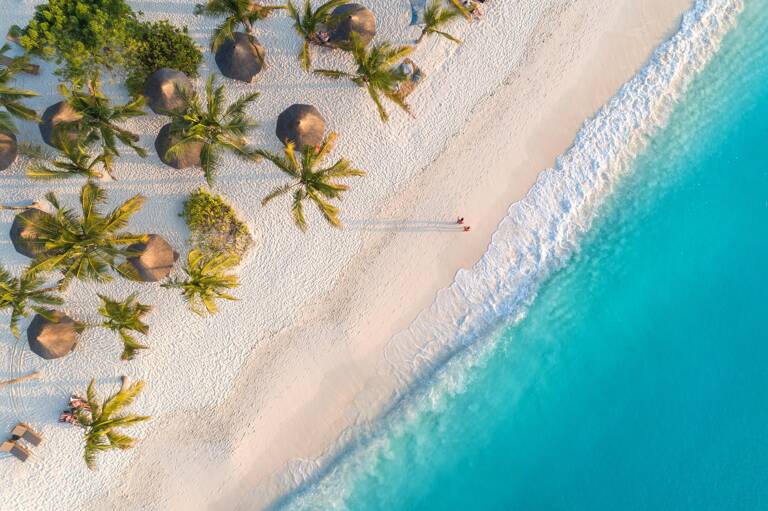 africa-tanzania-zanzibar-island-sea-palms