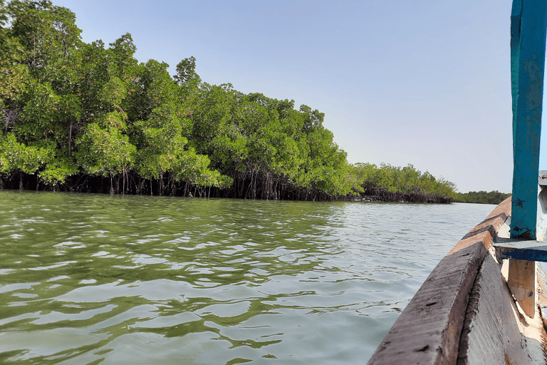 africa-the-gambia-mangroves-lamin-lodge-picture-by-MarieLinne