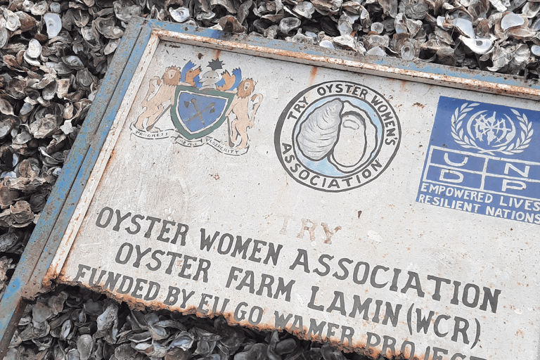 africa-the-gambia-oyster-creek-lamin-blog_de-useonly