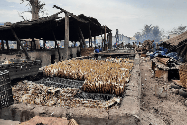africa-the-gambia-tanji-fishing-blog_de-useonly
