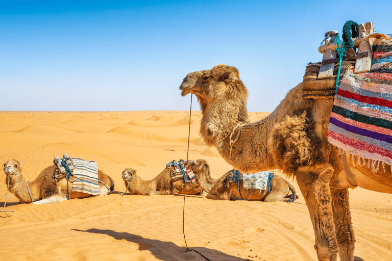 africa-tunesia-desert