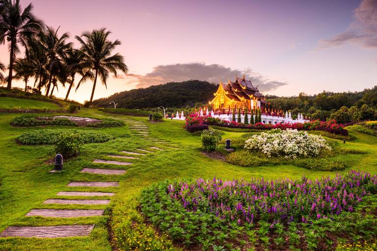aisa-thailand-chiang-mai-palms-nature