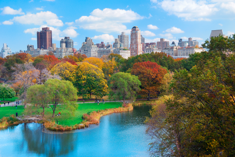 america-newyork-central-park-green
