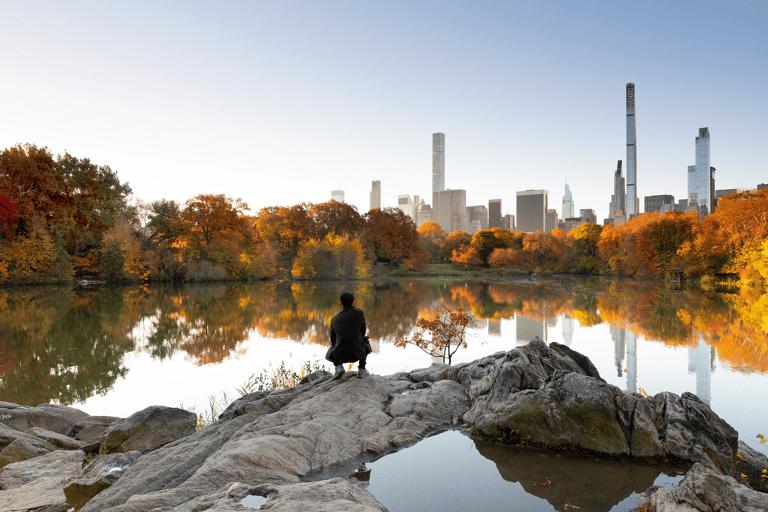 america-usa-newyork-centralpark-view