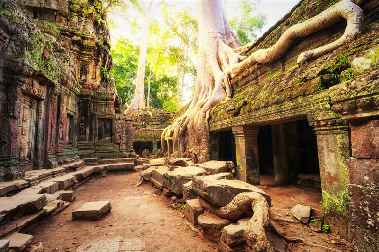 asia-cambodia-angkor-wat-temple-nature