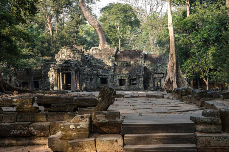 asia-cambodia-jungle-temple