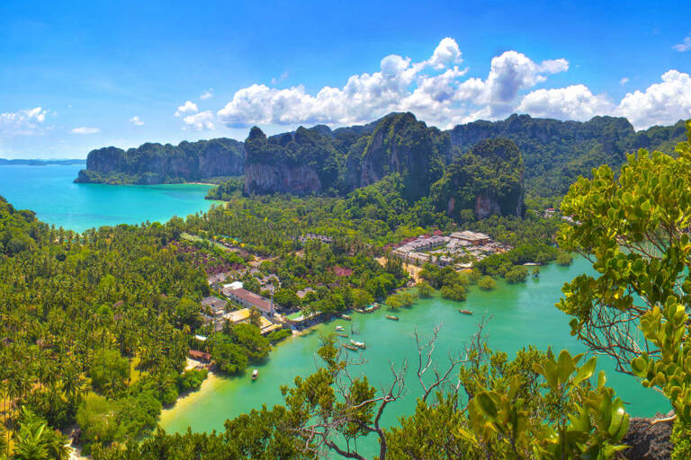 asia-cambodia-koh-thmei-jungle