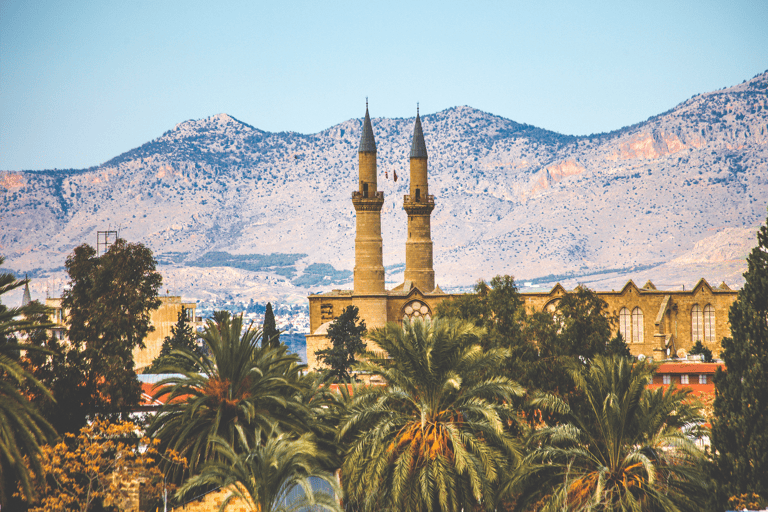 asia-europe-greece-cyprus-mosque-palm-trees-mountain