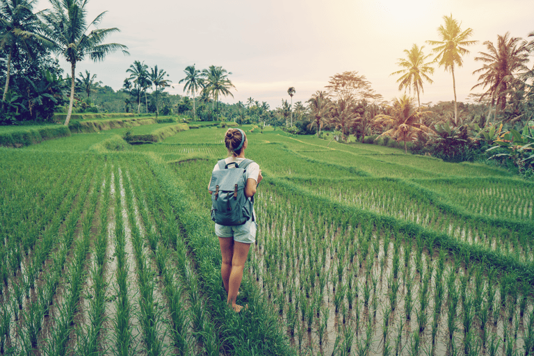 asia-indonesia-bali-woman-in-ricefield