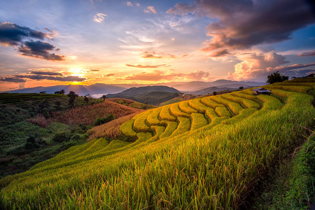 5 redenen om te reizen in Indonesië
