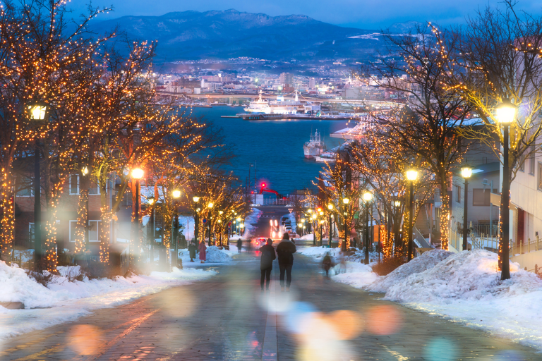 asia-japan-hokaido-christmas-lights-street