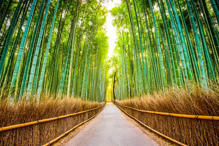 asia-japan-kyoto-arashiyama-bamboo-grove