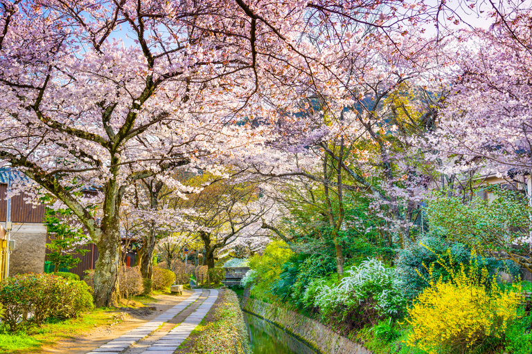 asia-japan-kyoto-philosophers-path