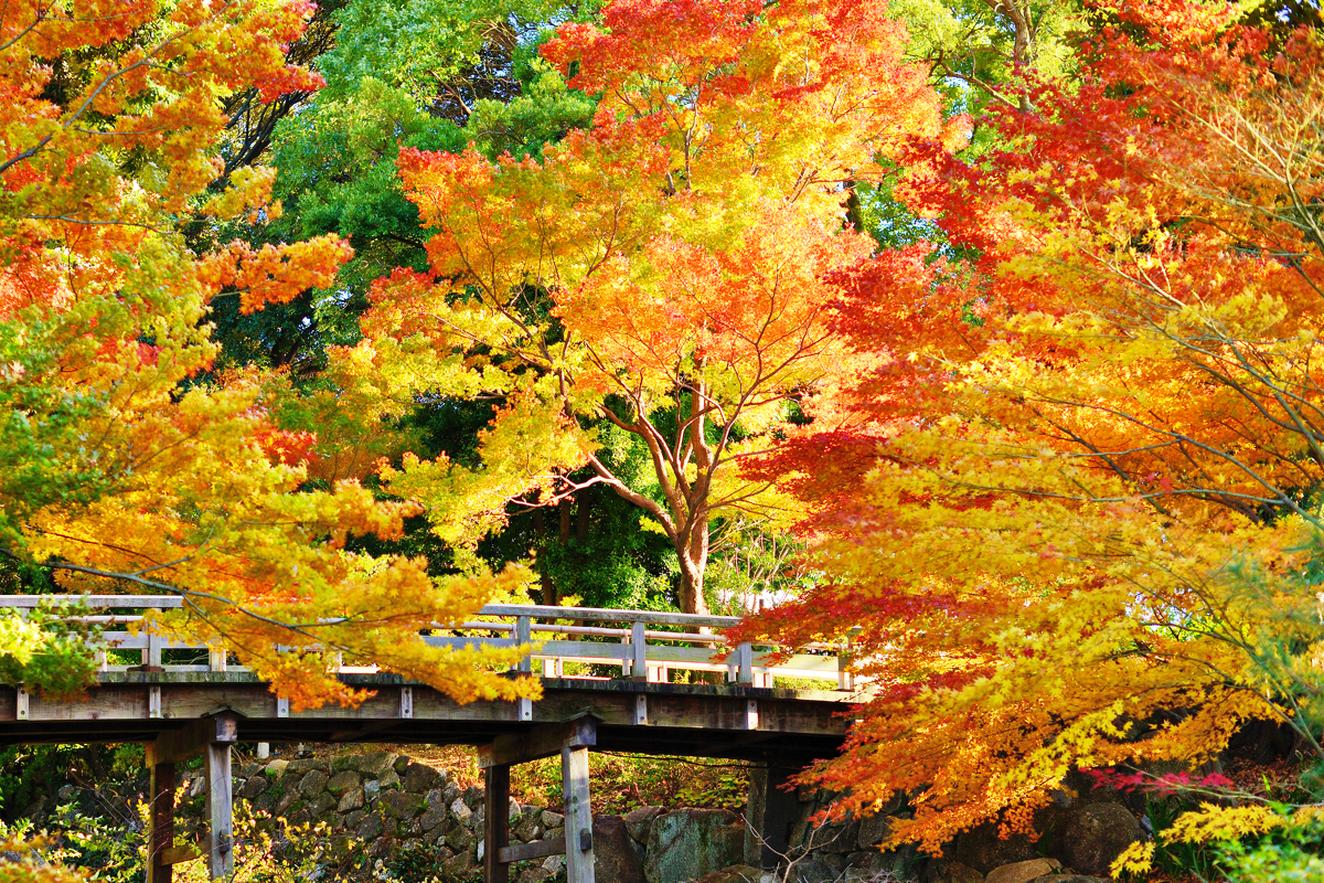 Les 5 villes les plus populaires pour des vacances en automne