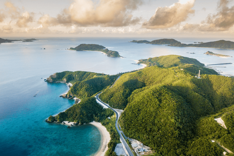 asia-japan-okinawa-forest-ocean