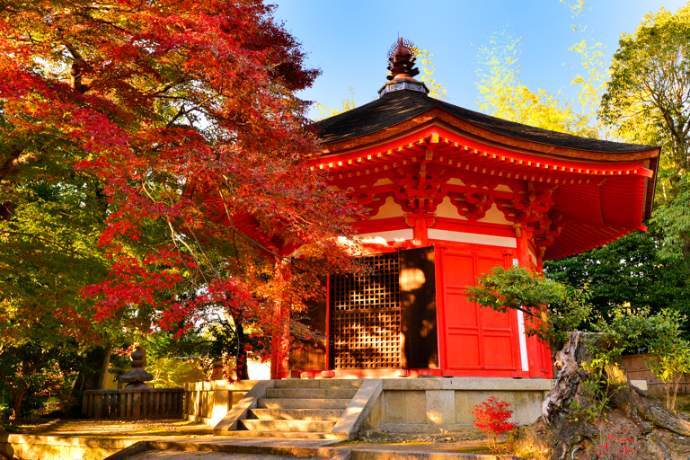 asia-japan-tofuku-ji-tempels-autumn